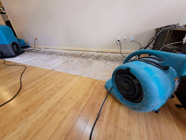 Professional Structural Drying technician working in Satsop, WA